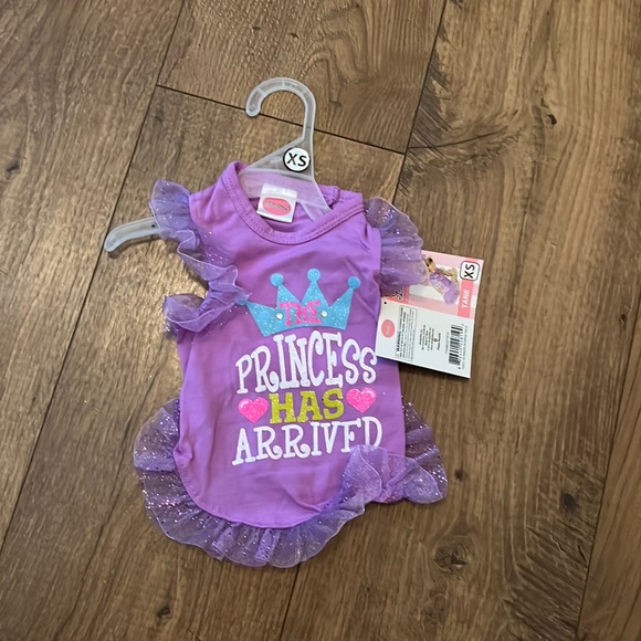 🐶 Lulu Pink “Princess Has Arrived” Tee (Girl) XS - Picture 1 of 4